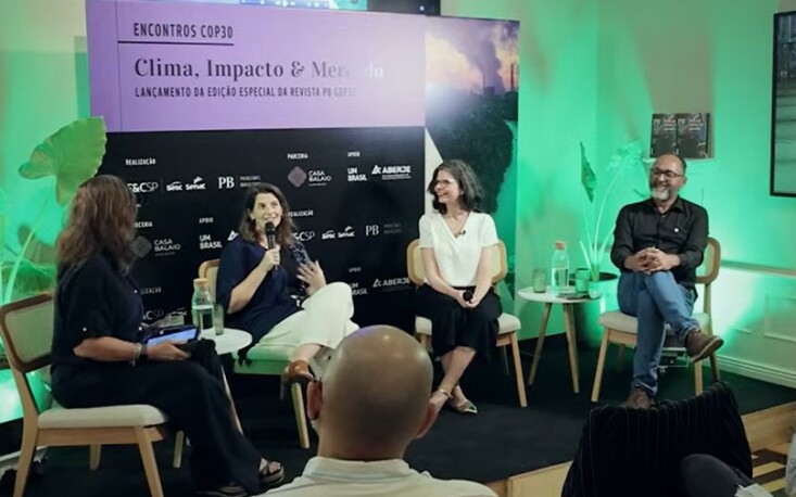 Estratégias empresariais para um futuro sustentável no Brasil Estratégias empresariais para um futuro sustentável no Brasil