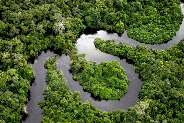 Brasil é o 77º país mais verde do mundo Brasil é o 77º país mais verde do mundo
