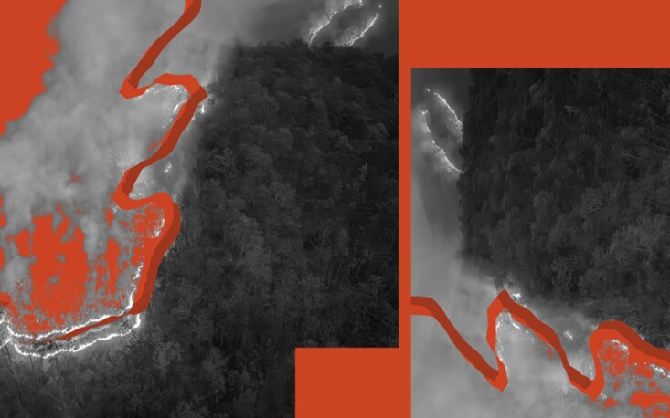 Impactos de queimadas florestais podem durar décadas, com perda de biodiversidade e piora da qualidade da água