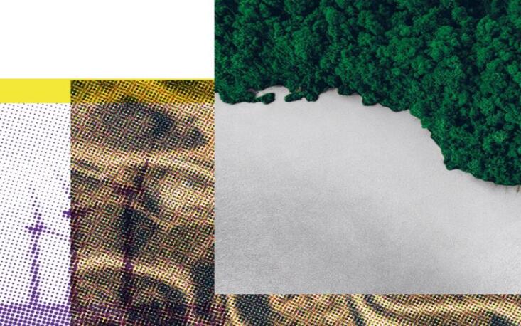 O que esperar da COP30?